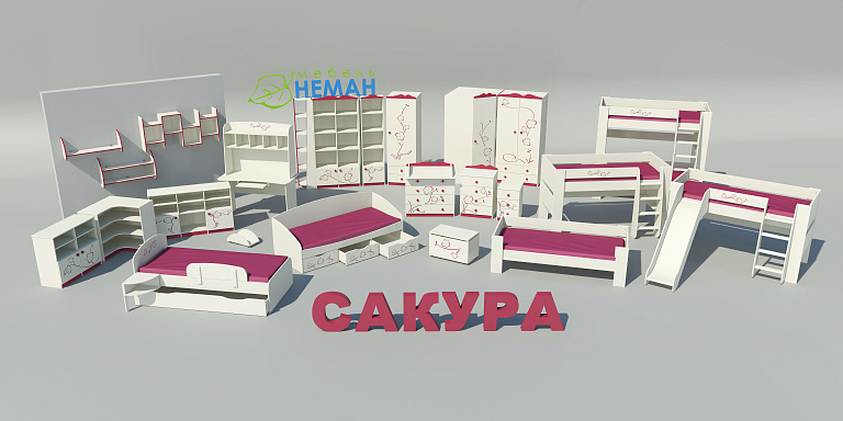 Тедди Сакура